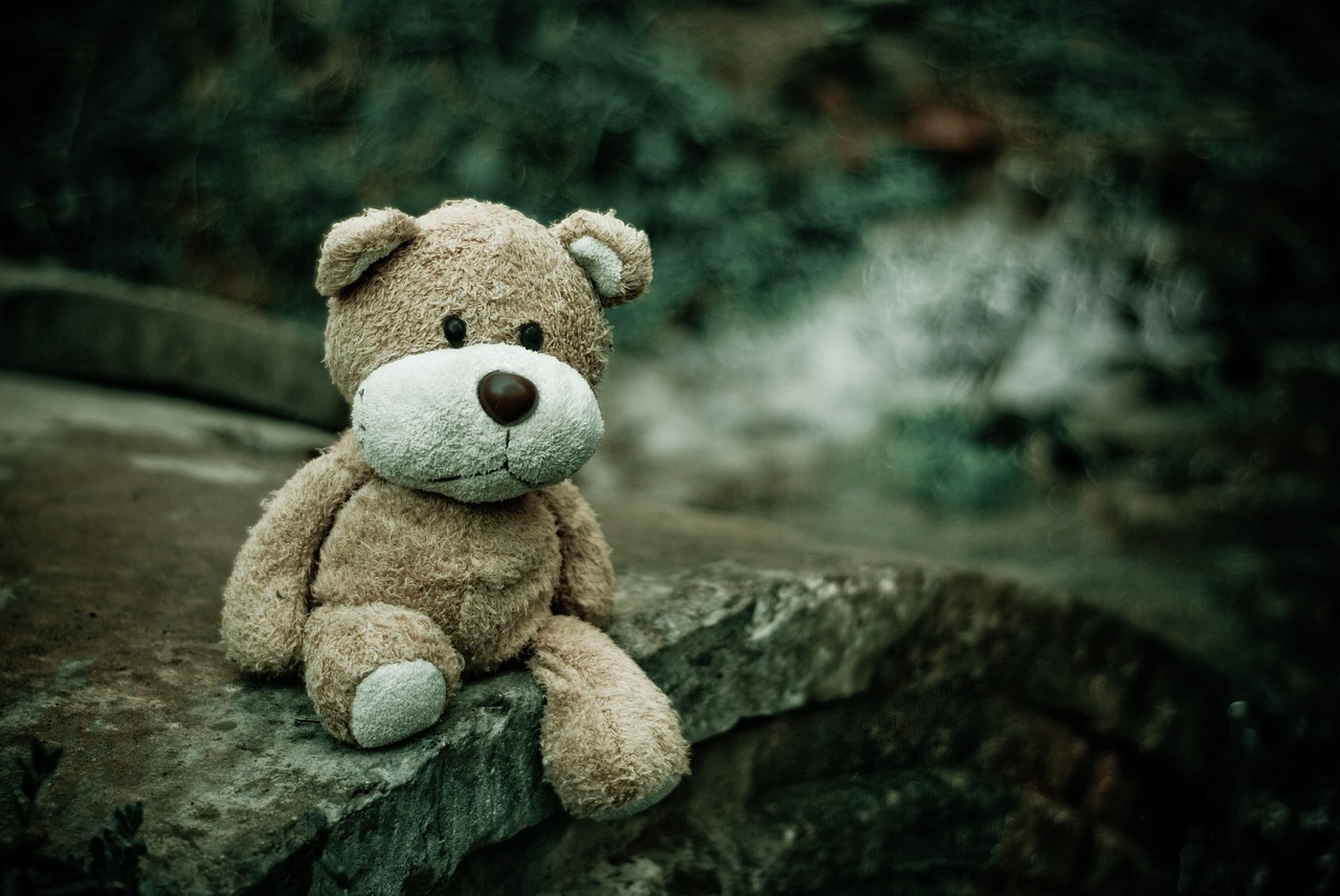 teddy bear, toy, plush-1835598.jpg