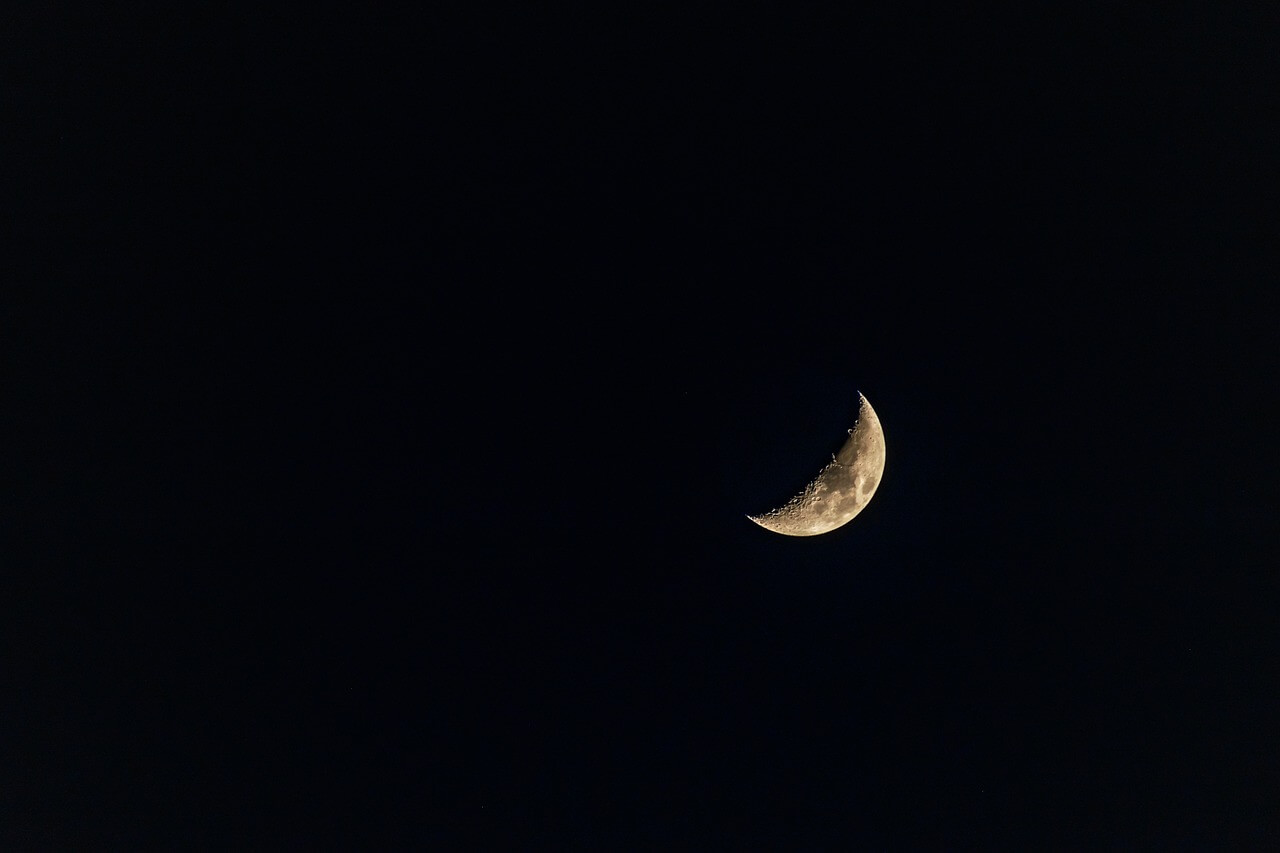 half moon, moon, night-4900302.jpg