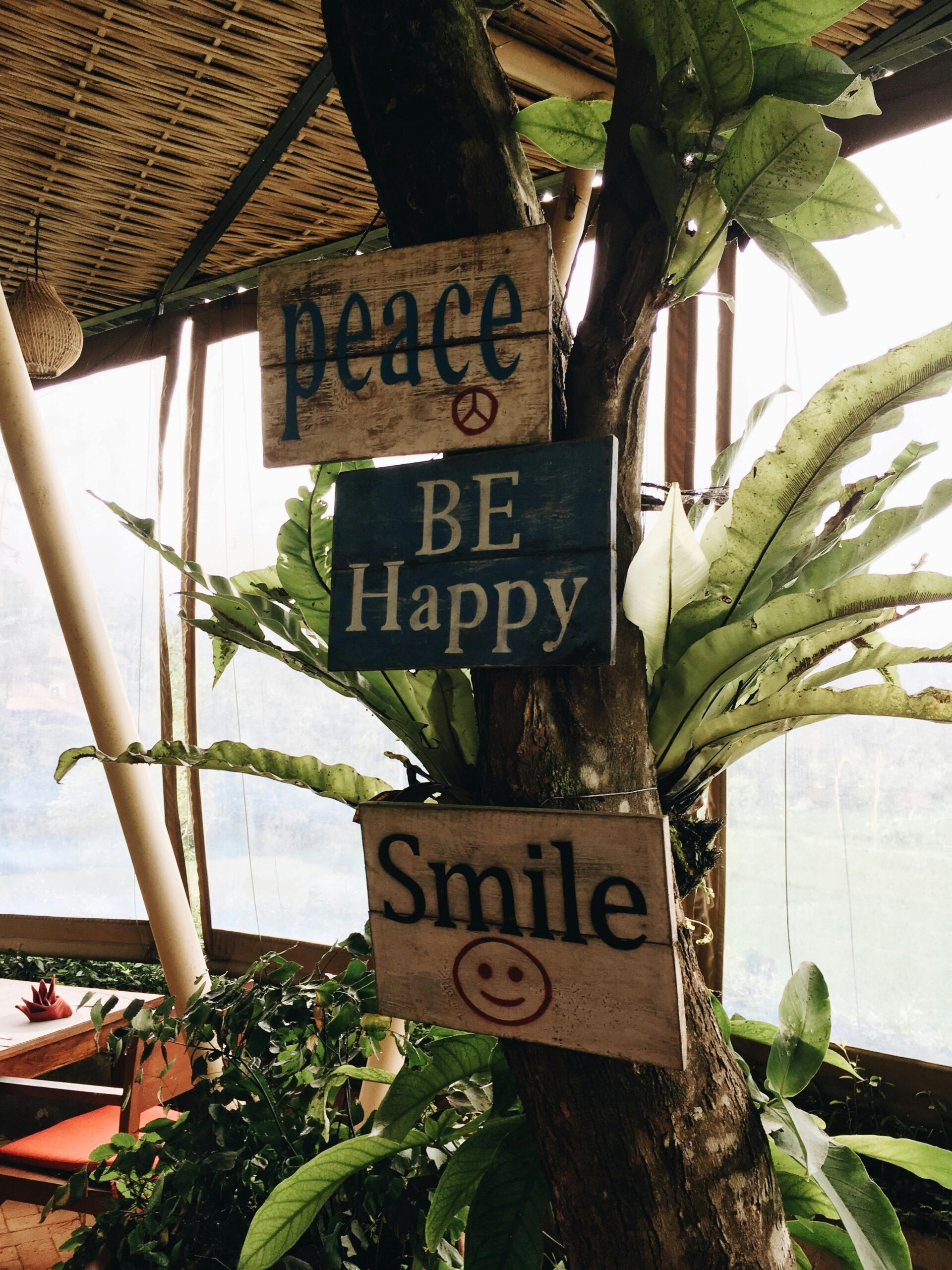 Three Wooden Signage in a Tree Close-up Photography