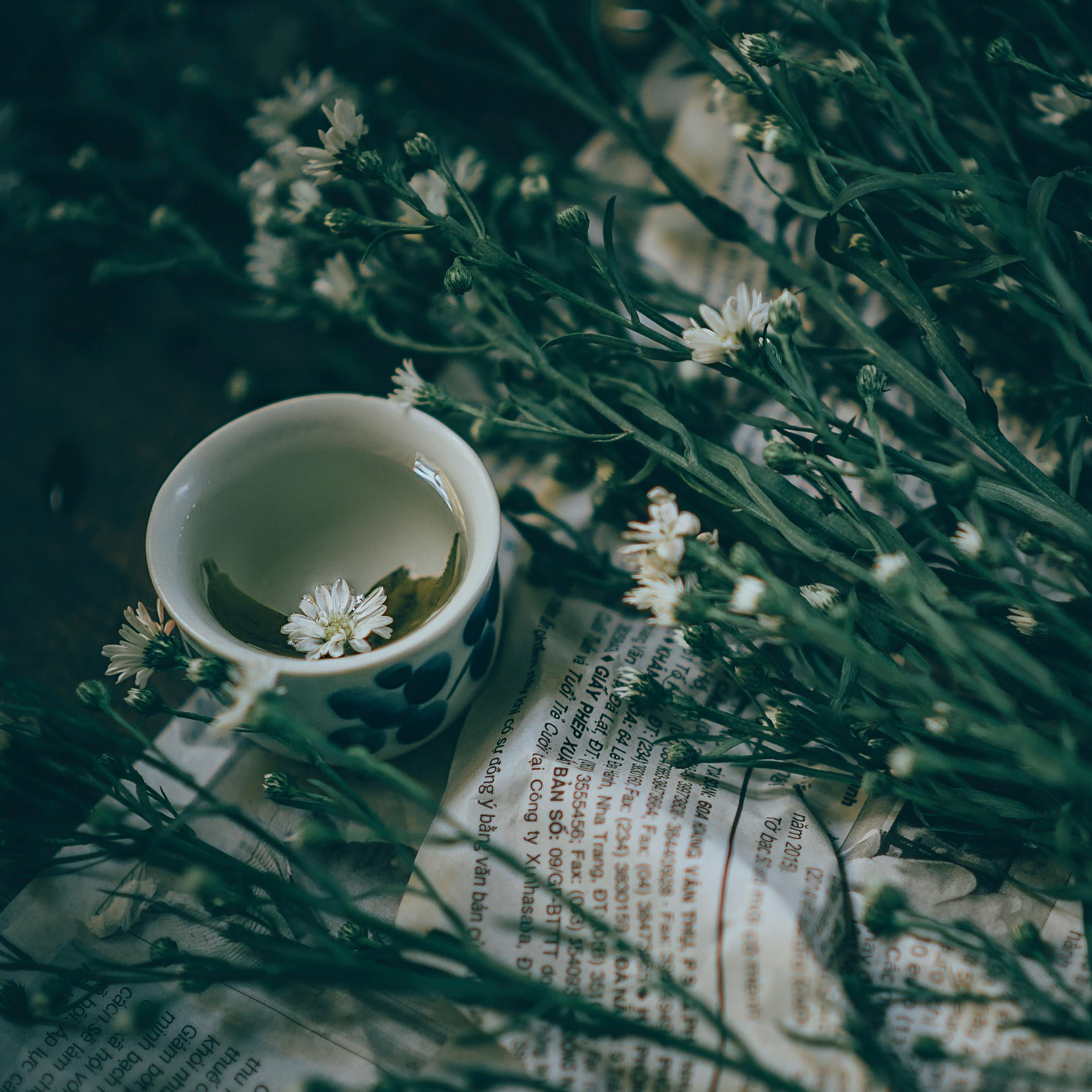 A delicate still life showcasing a teacup and flowers on a newspaper background.