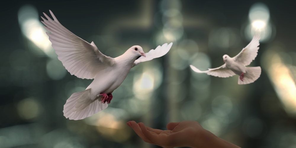 doves, peace, freedom-6750143.jpg